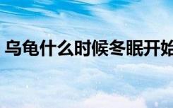 乌龟什么时候冬眠开始（乌龟什么时候冬眠）