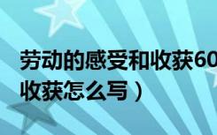 劳动的感受和收获600字作文（劳动的感受和收获怎么写）