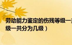 劳动能力鉴定的伤残等级一共分为（劳动能力鉴定的伤残等级一共分为几级）