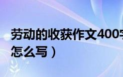 劳动的收获作文400字左右（劳动的收获作文怎么写）