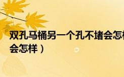 双孔马桶另一个孔不堵会怎样视频（双孔马桶另一个孔不堵会怎样）