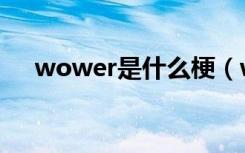 wower是什么梗（wower是什么意思）