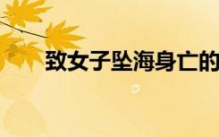 致女子坠海身亡的飞鱼项目曾被取缔