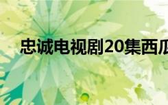 忠诚电视剧20集西瓜视频（忠诚电视剧）