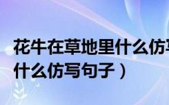 花牛在草地里什么仿写拟人句（花牛在草地里什么仿写句子）