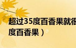 超过35度百香果就很难结果对不对（超过35度百香果）