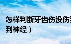 怎样判断牙齿伤没伤到牙根（怎样判断牙齿伤到神经）