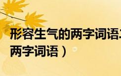 形容生气的两字词语二年级下册（形容生气的两字词语）