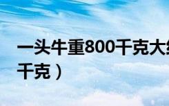 一头牛重800千克大约多少钱（一头牛重800千克）