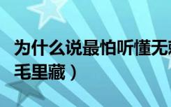 为什么说最怕听懂无赖这首歌（为什么说最怕毛里藏）