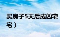 买房子5天后成凶宅 视频（买房子5天后成凶宅）