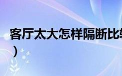 客厅太大怎样隔断比较好（客厅太大怎么装修）