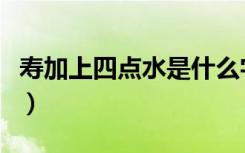 寿加上四点水是什么字（寿加四点水是什么字）