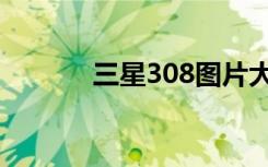 三星308图片大全（三星308）