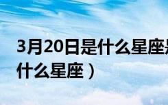 3月20日是什么星座是什么性格（3月20日是什么星座）