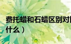 费托蜡和石蜡区别对比（费托蜡和石蜡区别是什么）