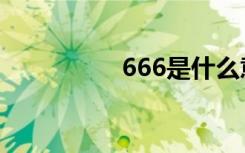 666是什么意思（666）