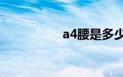 a4腰是多少尺（a4腰）