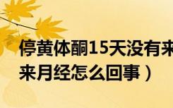 停黄体酮15天没有来月经（吃黄体酮15天不来月经怎么回事）