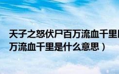 天子之怒伏尸百万流血千里匹夫之怒原文（天子之怒伏尸百万流血千里是什么意思）