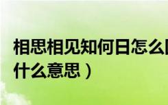 相思相见知何日怎么回答（相思相见知何日是什么意思）