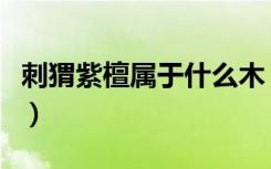 刺猬紫檀属于什么木（刺猬紫檀属于什么档次）