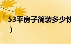 53平房子简装多少钱（53平米房子怎么装修）