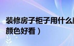 装修房子柜子用什么颜色（家里装修柜子什么颜色好看）