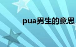 pua男生的意思（pua男的特征）