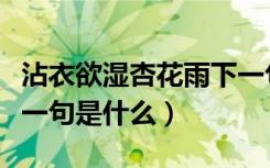 沾衣欲湿杏花雨下一句是（沾衣欲湿杏花雨下一句是什么）