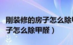 刚装修的房子怎么除甲醛去异味（刚装修的房子怎么除甲醛）