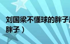 刘国梁不懂球的胖子原视频（刘国梁不懂球的胖子）