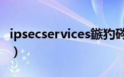 ipsecservices鏃犳硶鍚姩（ipsec services）