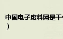 中国电子废料网是干什么的（中国电子废料网）