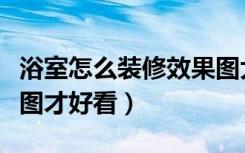 浴室怎么装修效果图大全（浴室怎么装修效果图才好看）