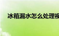 冰箱漏水怎么处理视频教程（冰箱漏水）