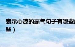 表示心凉的霸气句子有哪些成语（表示心凉的霸气句子有哪些）