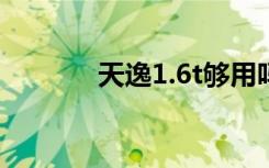 天逸1.6t够用吗（天逸100a）