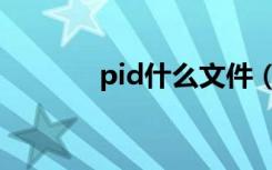 pid什么文件（pid什么意思）