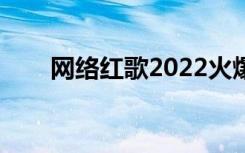 网络红歌2022火爆歌曲（网络商铺）