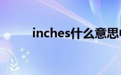 inches什么意思中文（inch换算）