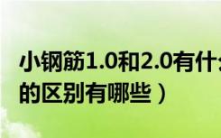 小钢筋1.0和2.0有什么区别（小钢筋1.0和2.0的区别有哪些）