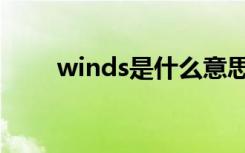 winds是什么意思（winds演唱会）