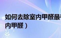 如何去除室内甲醛最有效的方法（如何去除室内甲醛）