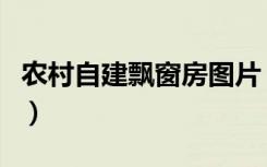 农村自建飘窗房图片（农村建房飘窗如何施工）