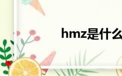 hmz是什么（hmz t2）