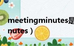 meetingminutes是什么意思（meetingminutes）