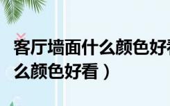 客厅墙面什么颜色好看又显高档（客厅墙面什么颜色好看）