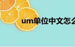 um单位中文怎么念（umd炮手）