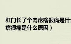 肛门长了个肉疙瘩很痛是什么原因造成的（肛门长了个肉疙瘩很痛是什么原因）